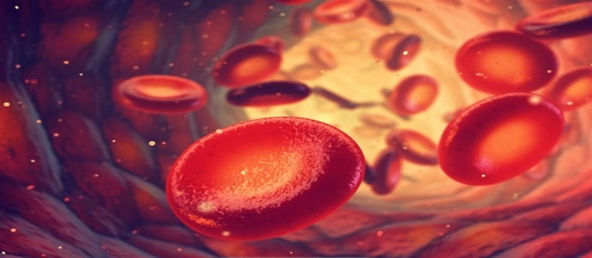 سلول قرمز خون (RBC)